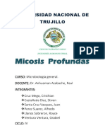 Micosis-Profundas INFORME