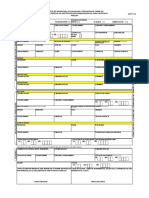 Formulario Precapi drpt63