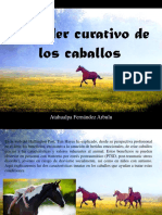 El Poder Curativo de Los Caballos