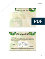 Microsoftpowerpoint Asamamino, Peptida, Protein