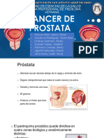 Cancer de Prostata Patologia