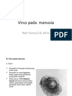 Virus Pada Manusia