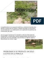 Agro Forester I A