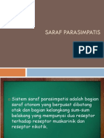 Saraf Parasimpatis