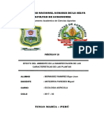 informe 10.docx