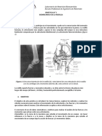 Práctica n5 Biomecánica de La Rodilla