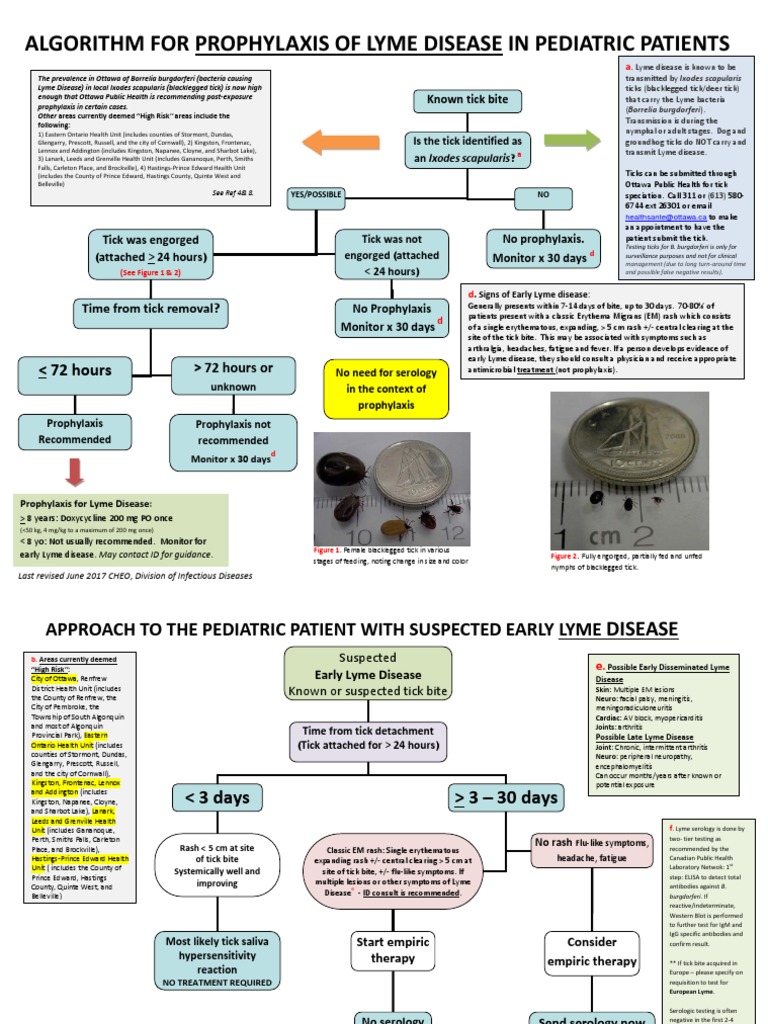 Cdc Lyme Prophylaxis Guidelines