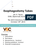 VSC_DVM-Track-B-Taylor_Esophagostomy-Tube-Lecture_ld.pdf