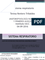 El Sistema Respiratorio Teresa Rentero Tribaldos: Anatomofisiología Humana Y Primeros Auxilio