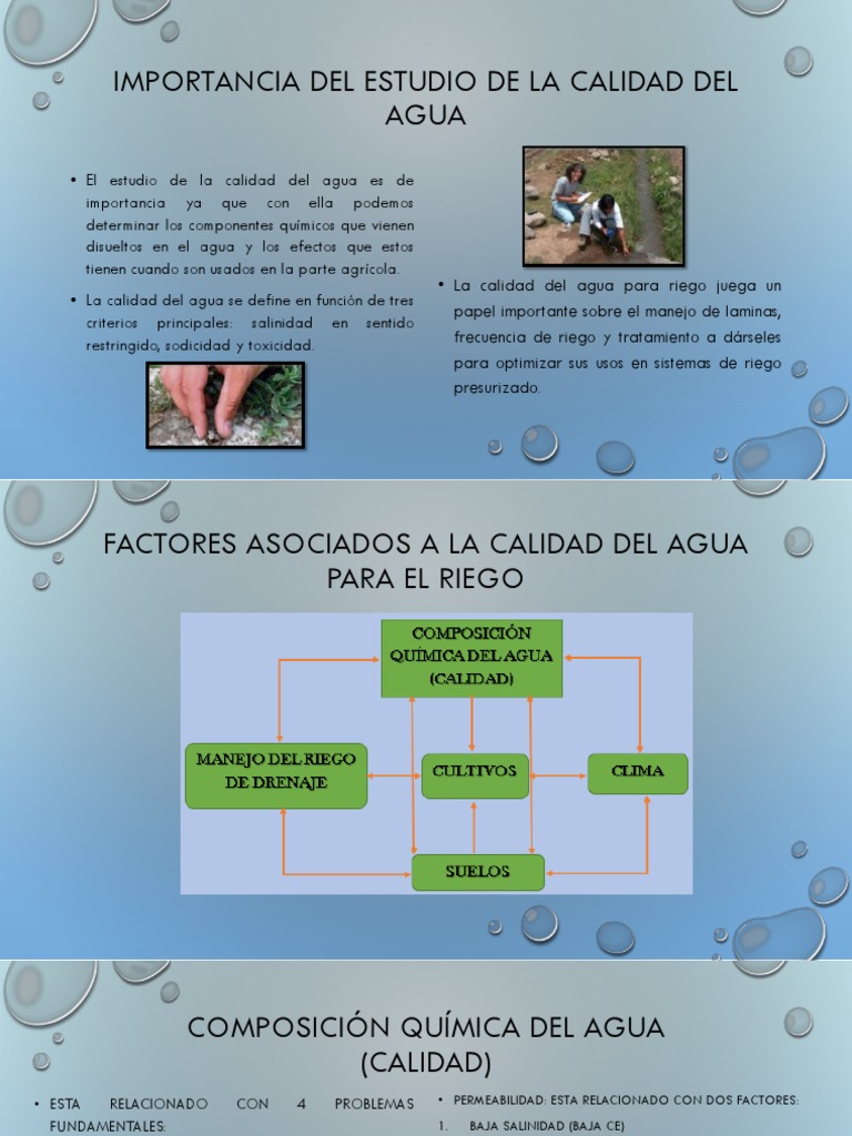 Estudio de la Calidad del Agua para Riego | PDF | Riego | Calidad del agua