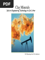 Bentonite Clay | PDF | Clay Minerals | Clay