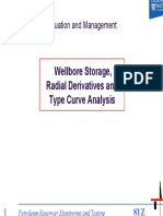 Wellbore Storage.pdf