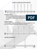 Pag 5 NOTAS DE ESCALA EN FLAUTA PDF