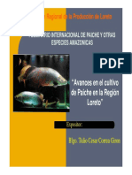 02 Avances en El Desarrollo de La Acuicultura en Loreto PDF