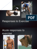 Responses To Exercise