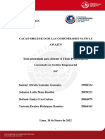 TESIS DE CACAO ORGANICO DE LAS COMUNIDADES NATIVAS.pdf