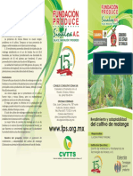 Rendimiento y Adaptabilidad Del Cultivo de Malanga PDF
