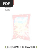 Consumer Behavior of Kurkure