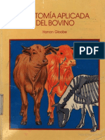 LIBRO Anatomía A Aplicada Del Bovino