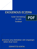 Exogenous Eczema Edited