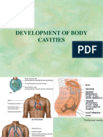 Development of Body Cavities