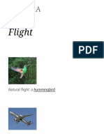 Natural Flight: A