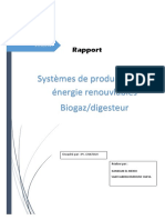 Systèmes de Production Des Énergie Renouvlables Biogaz/digesteur
