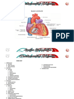 Ds Basic Science