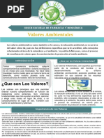 Valor Ambiental PDF