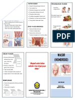 Leaflet Penyuluhan Hemoroid Revisi