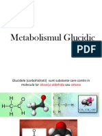 Metabolismul-Glucidic