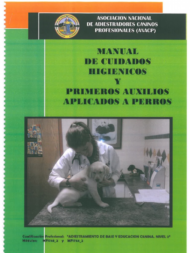 Cuidados Higienicos y Primeros Auxilios | PDF