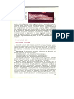 21.Organele_urinare.pdf