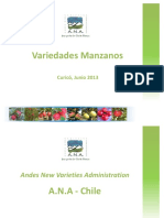Fernandez.pdf