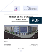 Projet Béton Armé HHGPS PDF