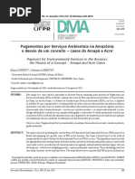 Pagamentos por Serviços Ambientais na Amazônia- o desvio de um conceito – casos do Amapá e Acre