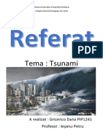 tsunami.docx