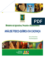 125099458-Palestra-Elson-MAPA-pdf.pdf