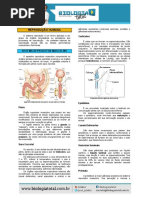 Teoria Aparelho Reprodutor Humano
