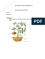 Trabajo Práctico de Ciencias Naturales N