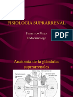 Fisiologia Suprarrenal