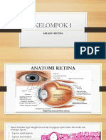 Ablasio Retina