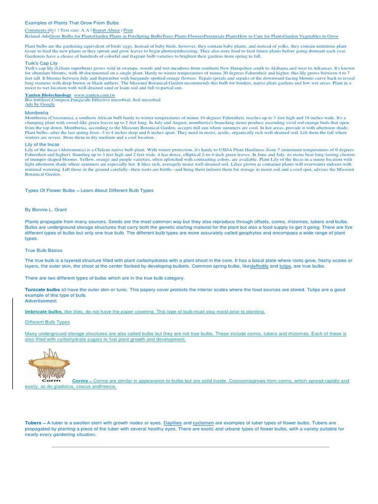 Examples of Plants That Grow From Bulbs Lzel Tubers Runners PDF