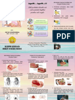 Leaflet Deteksi Dini Komplikasi Persalinan - Vidyah Khoerunnisa