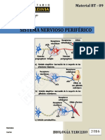 Sistema Nervioso Periferico WEB