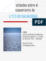 seminario-litio-mesa-redonda.pdf