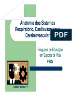 Anatomia Dos Sistemas Respiratorio, Cardiovascular e Cerebrovascular