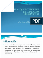 Celulas Que Intervienen en El Proceso Inflamatorio PDF