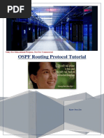 OSPF Myanmar