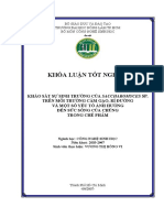 Khảo Sát Sự Sinh Trưởng Của Saccharomyces Sp. Trên Môi Trường Cám Gạo, Rỉ Đường Và Một Số Yếu Tố Ảnh Hưởng Đến Sức Sống Của Chúng Trong Chế Phẩm